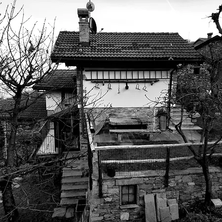 Nini * カンネロ・リヴィエーラ